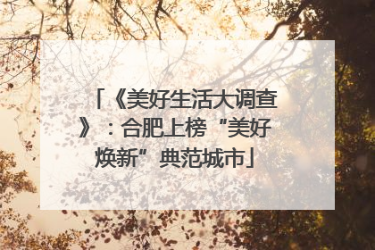 《美好生活大调查》：合肥上榜“美好焕新”典范城市