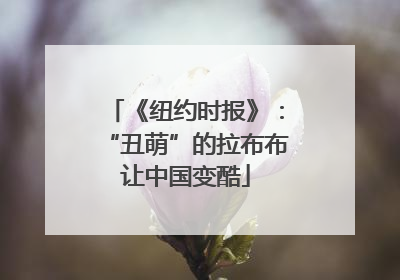 《纽约时报》：“丑萌”的拉布布让中国变酷