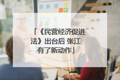 《民营经济促进法》出台后 张江有了新动作