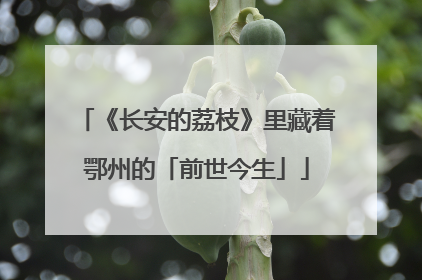 《长安的荔枝》里藏着鄂州的「前世今生」