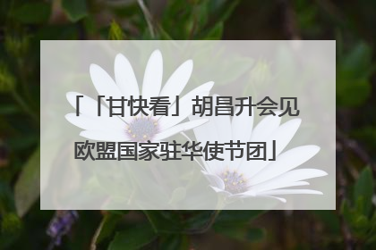 「甘快看」胡昌升会见欧盟国家驻华使节团