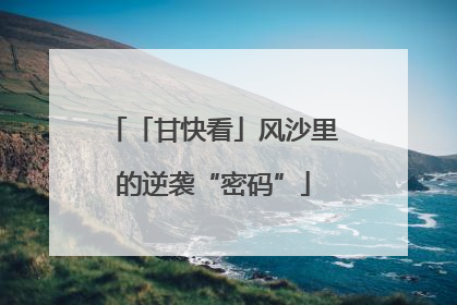「甘快看」风沙里的逆袭“密码”