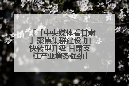 「中央媒体看甘肃」聚焦集群建设 加快转型升级 甘肃支柱产业增势强劲
