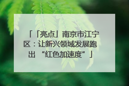 「亮点」南京市江宁区：让新兴领域发展跑出 “红色加速度”