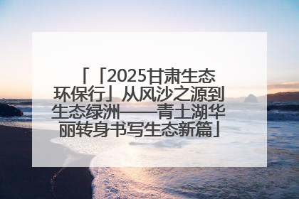 「2025甘肃生态环保行」从风沙之源到生态绿洲——青土湖华丽转身书写生态新篇