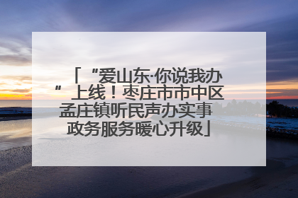 “爱山东·你说我办”上线！枣庄市市中区孟庄镇听民声办实事 政务服务暖心升级