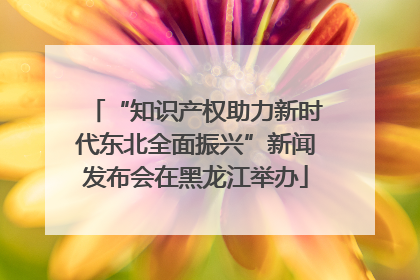 “知识产权助力新时代东北全面振兴”新闻发布会在黑龙江举办