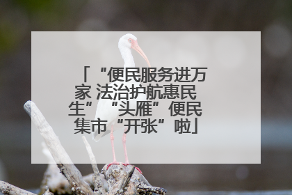 “便民服务进万家 法治护航惠民生”“头雁”便民集市“开张”啦