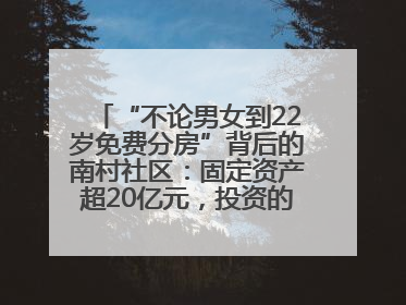 “不论男女到22岁免费分房”背后的南村社区：固定资产超20亿元，投资的影视基地被称为“山村好莱坞”