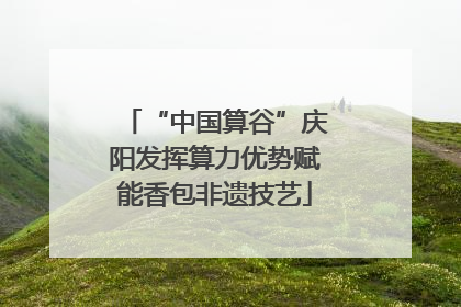 “中国算谷”庆阳发挥算力优势赋能香包非遗技艺