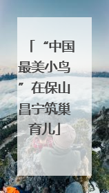 “中国最美小鸟”在保山昌宁筑巢育儿