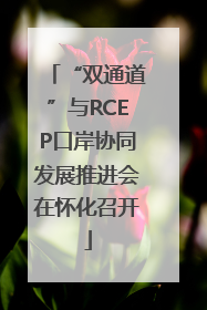 “双通道”与RCEP口岸协同发展推进会在怀化召开