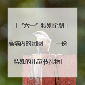 “六一”特别企划｜高墙内的团圆——一份特殊的儿童节礼物