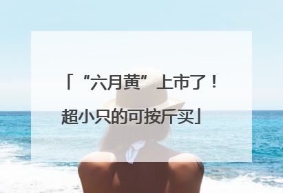 “六月黄”上市了！超小只的可按斤买