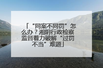 “同案不同罚”怎么办？湘阴行政检察监督着力破解“过罚不当”难题