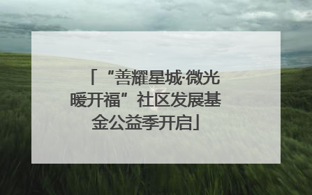 “善耀星城·微光暖开福”社区发展基金公益季开启