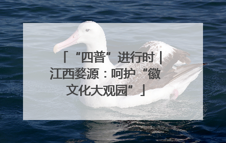 “四普”进行时｜江西婺源：呵护“徽文化大观园”