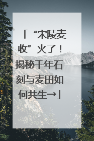 “宋陵麦收”火了！揭秘千年石刻与麦田如何共生→