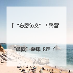 “忘恩负义”！警营“孤傲”燕隼飞走了