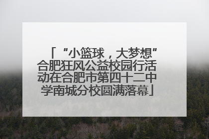 “小篮球，大梦想”合肥狂风公益校园行活动在合肥市第四十二中学南城分校圆满落幕