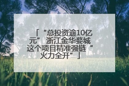 “总投资逾10亿元” 浙江金华婺城这个项目精准强链“火力全开”