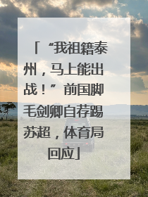 “我祖籍泰州，马上能出战！”前国脚毛剑卿自荐踢苏超，体育局回应
