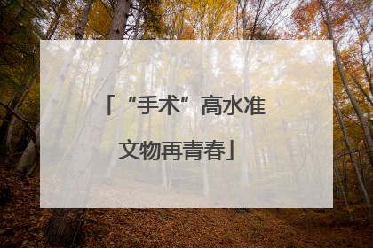 “手术”高水准 文物再青春