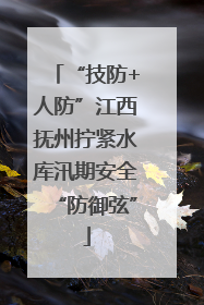 “技防+人防”江西抚州拧紧水库汛期安全“防御弦”