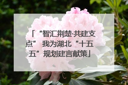 “智汇荆楚·共建支点” 我为湖北“十五五”规划建言献策
