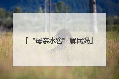 “母亲水窖”解民渴