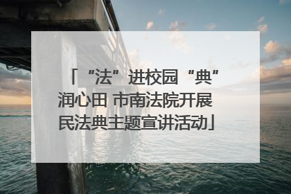 “法”进校园“典”润心田 市南法院开展民法典主题宣讲活动