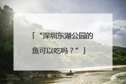 “深圳东湖公园的鱼可以吃吗？”