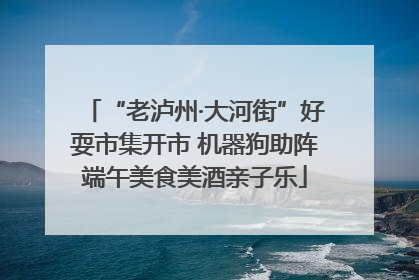 “老泸州·大河街”好耍市集开市 机器狗助阵端午美食美酒亲子乐