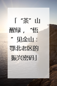 “茶”山醒绿，“悟”见金山：鄂北老区的振兴密码