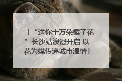 “送你十万朵栀子花”长沙站浪漫开启 以花为媒传递城市温情