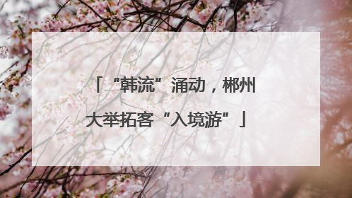 “韩流”涌动，郴州大举拓客“入境游”