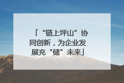 “链上坪山”协同创新，为企业发展充“储”未来