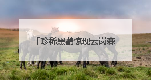 珍稀黑鹳惊现云岗森林公园！丰台这片宝地藏着多少惊喜？