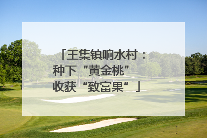 王集镇响水村：种下“黄金桃” 收获“致富果”
