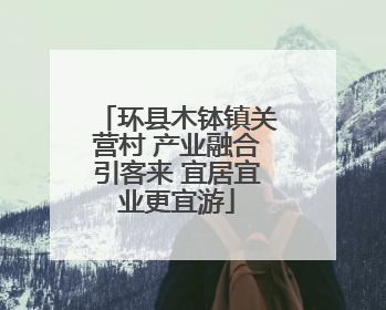 环县木钵镇关营村 产业融合引客来 宜居宜业更宜游