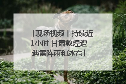 现场视频丨持续近1小时 甘肃敦煌遭遇雷阵雨和冰雹