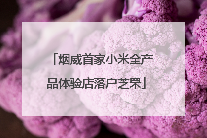 烟威首家小米全产品体验店落户芝罘
