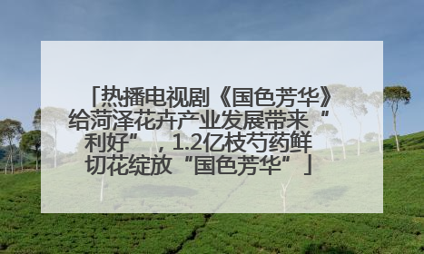 热播电视剧《国色芳华》给菏泽花卉产业发展带来“利好”，1.2亿枝芍药鲜切花绽放“国色芳华”