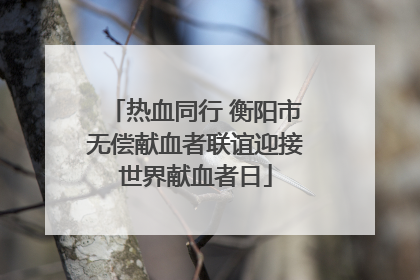 热血同行 衡阳市无偿献血者联谊迎接世界献血者日