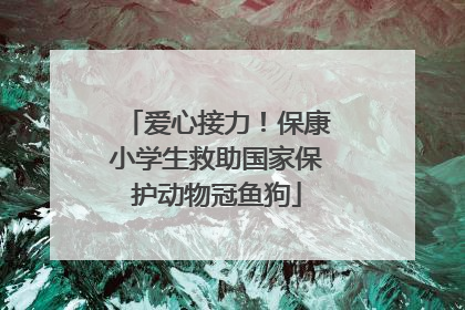 爱心接力！保康小学生救助国家保护动物冠鱼狗