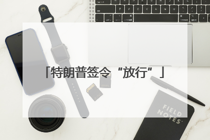 特朗普签令“放行”