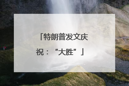 特朗普发文庆祝：“大胜”