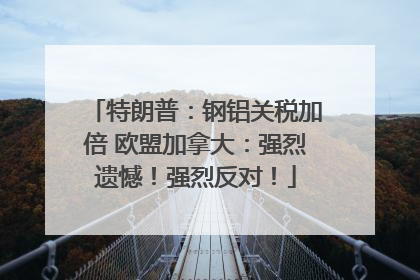 特朗普：钢铝关税加倍 欧盟加拿大：强烈遗憾！强烈反对！