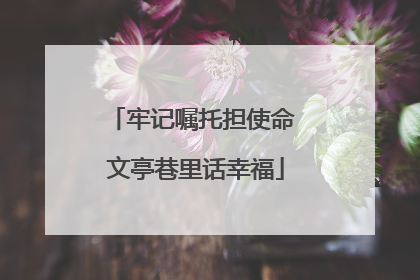 牢记嘱托担使命 文亭巷里话幸福