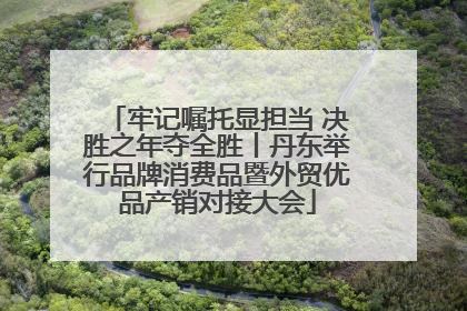 牢记嘱托显担当 决胜之年夺全胜丨丹东举行品牌消费品暨外贸优品产销对接大会